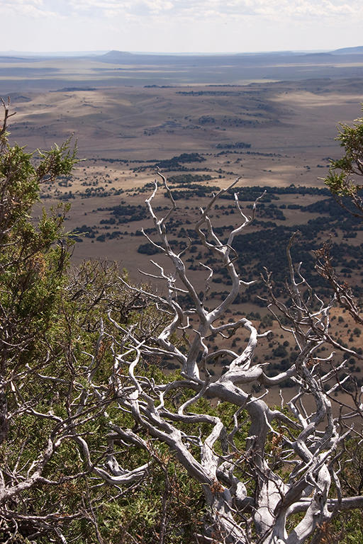 03_Capulin Volcano National Monument_2.jpg